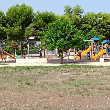 Green54oro Bari