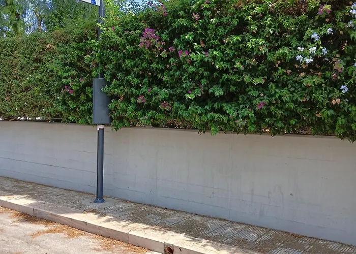 Green54oro Gazde/Camere de închiriat